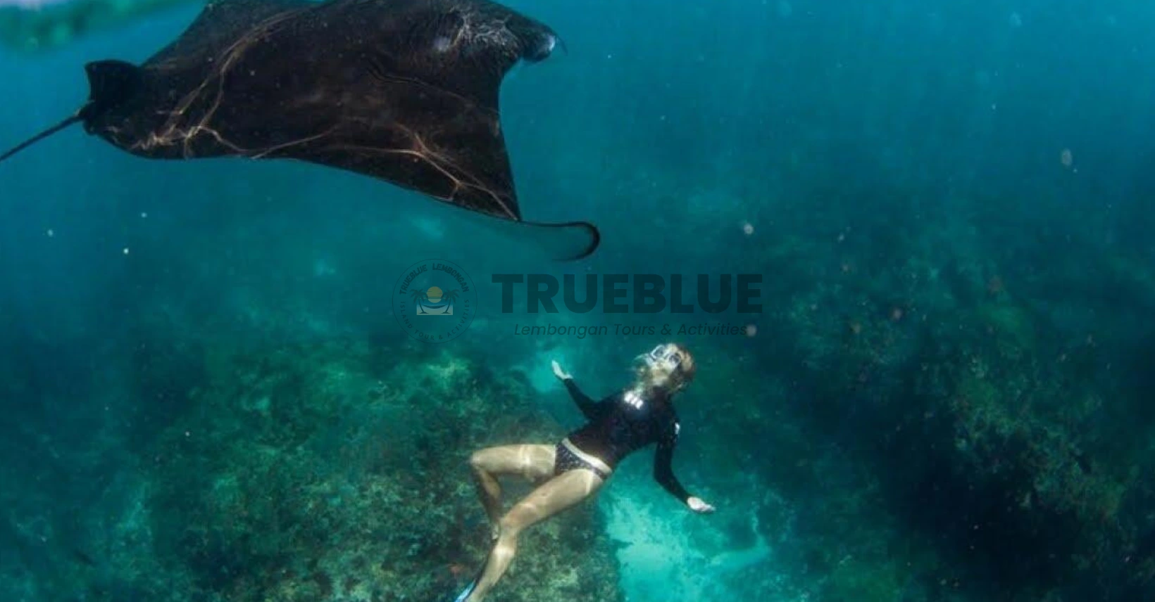 True Blue Lembongan Tours & Activities