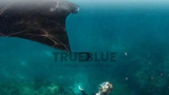 Snorkeling Package