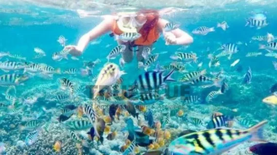 Discover the Beauty of Indonesia with Trueblue Lembongan Tours & Activities
