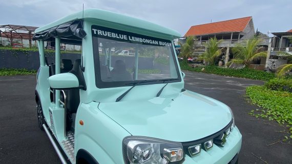 WhatsApp Image 2025-11-20 at 15.32.57