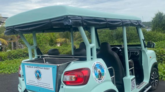 WhatsApp Image 2025-11-20 at 15.32.59