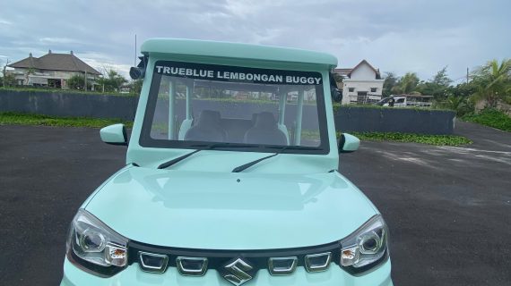 WhatsApp Image 2025-11-20 at 15.33.00